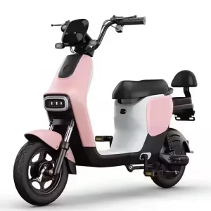 Electric City Bike Electr Bicycles Bike 2 Wheels E-bike Electric Bikes Professional China