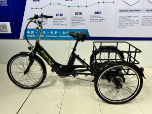 Electric City Bike Electric Cargo Bike 48V