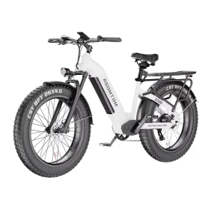 Electric City Bike Fat Tire Bike E300 Lithium Battery 750w Electric Bicycle Urban Model