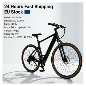 Electric City Bike Stable Handling Simple Maintenance Affordable Practical Commute City Road E-Bicycle