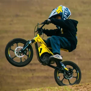 Electric City Bike and Electric Fatbike for Adults and Kids with 36V 5Ah 650W Motor Mini Fast Easy Rider Bike