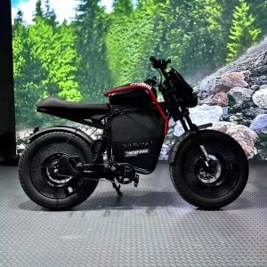Electric City Bikes Warrior Ebike Full Suspension Fat Ebike Electric Mountain Fat Tire Bikes Adults Off-Road Motorcycles