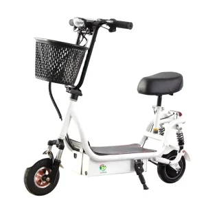 Electric City Cargo Hybrid Bike Steel Frame Sportbikes for Commute