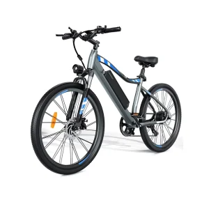 Electric City Electric Bike High quality Mountain Electric Bike