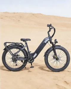 Electric City Leisure Bicycle 48V500W Seven Speed Fat Tires Shock Absorption Disc Brake Front and Rear Lights Digital