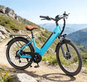 Electric City Sport Bicycle 48V500W Seven Speed Shock Absorption Dual Disc Brake Front and Rear Lights Lithium Battery
