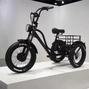 Electric City Street Bike 3 Wheel Brushless Front Hub 48V Lithium Battery 500W 750W 20Ah 15Ah 20 Tires 6-Speed Custom Packaging