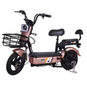 Electric Cycle with 2 Seat Electric Bike for Adults