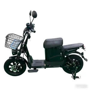 Electric Delivery Bike Made in China Electric Bike for Load Goods and Delivery Electric Bicycle From Manufacturer Export
