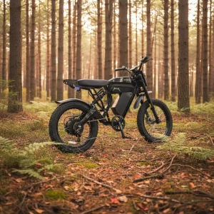 Electric Dirt Bike UK Magnesium Frame 52V 25Ah Lithium Battery 2000W All Terrain Small Electric Dirt Bike