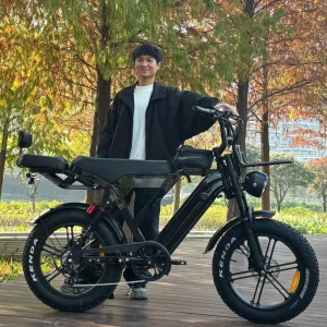 Electric Dirt Bike X50 250W Bike Electr Bike Two Seater E Bike