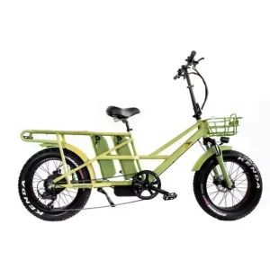 Electric Dual Motor Twol Batteries 1000 Watt Long Range Fat Tire Cargo E Bike Electric Bicycle