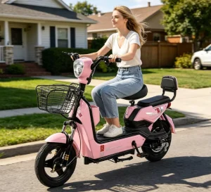 Electric E Bicycle
