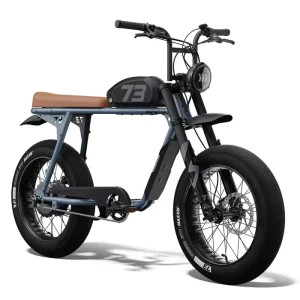 Electric E Bike 48V 250W Fat Tire Super Ebike Mountain Off Road Sport Fatbike City Riding Lithium 73 City Electric