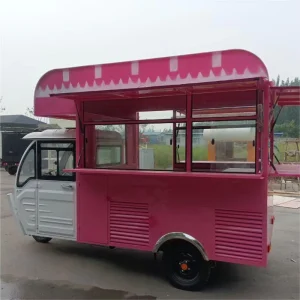 Electric Fast Food Ice Cream Tricycle Mobile Food Trailer Closed Body Cargo Vending Snack for Shopping Mall Event Amusement Park