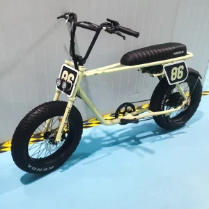 Electric Fat Bike 20 Inches Fat Tire Ebike Available Color Lithium Battery 48V Electric City Bike