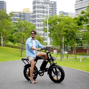 Electric Fat Tire Bicycle 14 Inches 16 Inches E bike 20 Inches Fat Electric Bikes Bicycle V8 CE ROHS