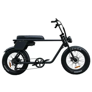 Electric Fat Tire Bike 20 Inch Beach Hybrid City Ebike Custom for Adults Removable Battery