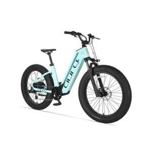 Electric Fat Tire Bike 250W 52V 15Ah 96KM Range EU Stock Step Through E Bike for City & Off Road Commuting