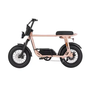 Electric Fat Tire Bike 48V15AH Mini Fat Ebike 750W Motor Lithium-Ion Battery Aluminum Alloy Frame 16*4.0Inch Ebike for Child