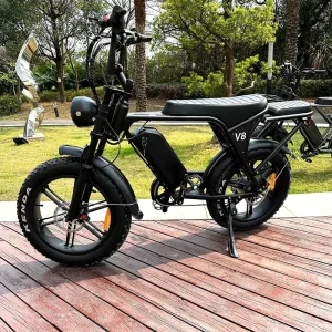 Electric Fat Tire Bike V8 Fatbike 250W 750W 20 Inches