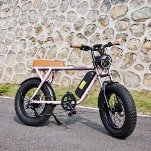 Electric Fat Tire Ebike Cycle Full Suspension Ebike for Adult