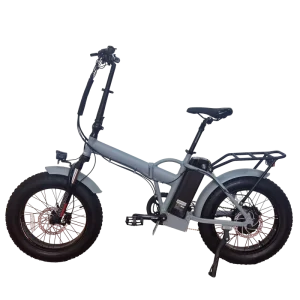 Electric Folding Bike 48V 250W 20 Inch Fat Tire Foldable Bicycle Snow/Beach E Bike