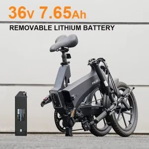 Electric Folding City Bike with Dual Disc Brake Rear Hub Brushless Motor for Urban