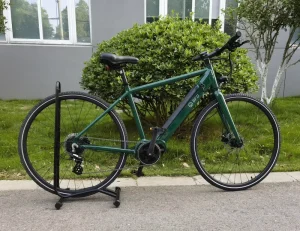 Electric Gravel Bike 700C*40C Al Alloy Frame 250W Mid Motor Shimano 9S Derailleur LCD Display Hydraulic Disc Brake 36V11.6A