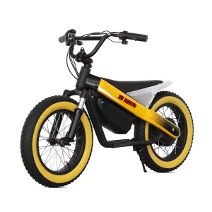 Electric Kids Bike 24V Removable Lithium Battery 16 Inch Fat Tire Children’s Electric Scooter
