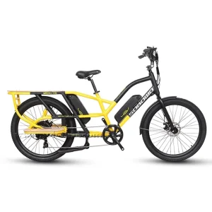 Electric Long Tail Cargo Bike 48V 500W for Family Food Delivery Kids