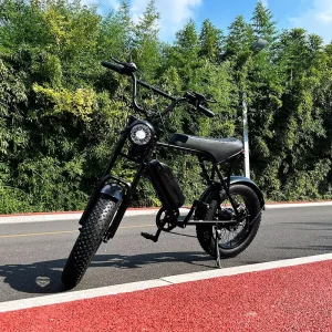 Electric Motorcycle Strong Power New Fashion Battery E-bike for Adults