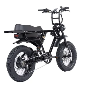 Electric Mountain Bike 20 Inch Wheel Rear Hub Motor 52V 1000W Hydraulic Disc Brake Aluminum Alloy Frame Suspension Fat Tire