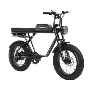 Electric Mountain Bike 48V 35AH Rear Hub Motor 7-Speed Disc Brake 20 Inch Fat Tire Leisure off Road Electric Bike
