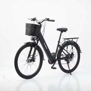 Electric Mountain Bike Factory Direct Sale Electric Mountain Bike with Built in Battery Women’s Electric Mountain Bike