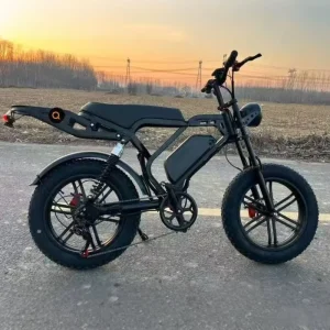 Electric Mountain Bike Fat Tire 20 Inch 48V Dual Motor 1000W Brushless Motor Adult Off-Road Ebike
