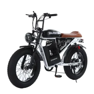 Electric Mountain Bike Fat Tire Long Range Electric Off Road Bicycle City Cross Country Electric Mountain Bikes