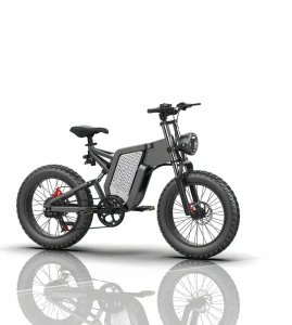 Electric Mountain Bike Full Suspension 48V 500W Brushless Motor 20″ Fat Tire Aluminum Alloy