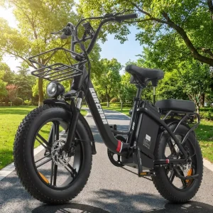 Electric Mountain Bike U8 48V31.5Ah Brushless Hub Motor 20 Inch Fat Tire City Commuting Cargo Bike