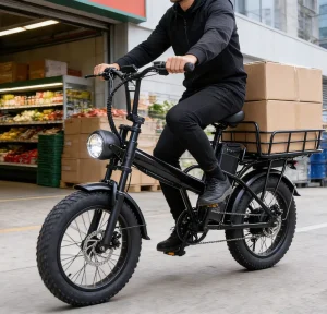 Electric Multifunctional City Bike 48V 500W Fat Tires Rear Luggage Rack Disc Brake