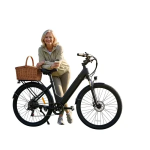 Electric Power-assisted Mountain Bike Men’s Women’s Removable Lithium Battery Variable Speed Labor-saving Adult Rear