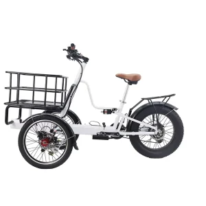 Electric Quad Bike With Cargo Long Range Cargo Big Dog Electric Cargo Bike With 250w Fast Electric Bike