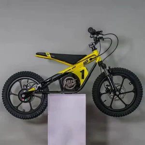 Electric Racing Bike for Kids Children with 12-16 Inch Wheel MTB FXB Style 36v5ah Lithium Battery Competition Off Road