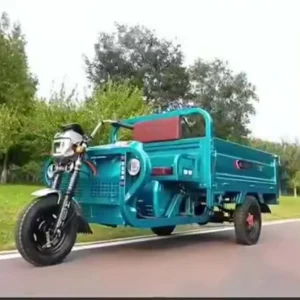 Electric Three wheeled Motorcycle for Adults and Cargo Three wheeler