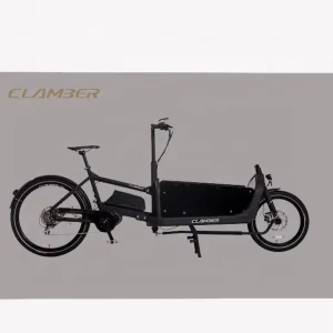 Electric Transport Cargo Bike With 2 Wheel Middle Motor Alloy 6061 MTB City Bike Tricycle Dutch