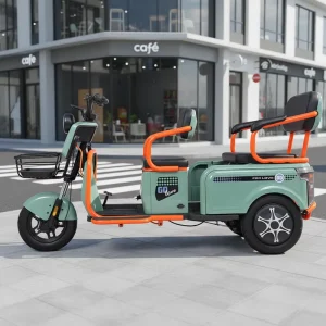 Electric Tricycle 60V 800W 3 Wheel Motorized Cargo Trike Family Child Adult