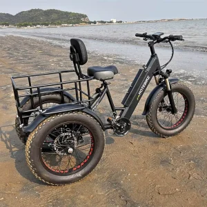 Electric Tricycle Cargo Bike 606 Aluminum Frame 7 Speed