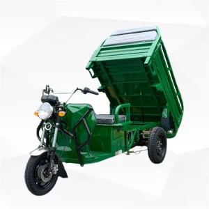 Electric Tricycle Electric Cargo Tricycle Food Turkey Bike Cargo Scooter 3 Wheel Adult Three Wheels for Electric Tricycles
