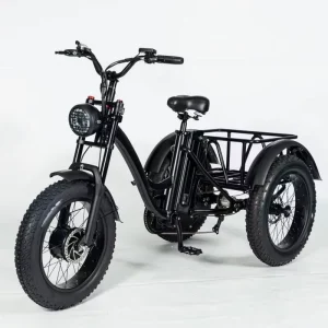 Electric Tricycle New 7 Speed Fat Tire 3 Wheel Electric Cargo Bike With Snow Tyre