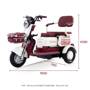 Electric Tricycle for Adults 3 Wheels Lithium Battery Aluminum Alloy Frame 1000W Motor up to 60km Range